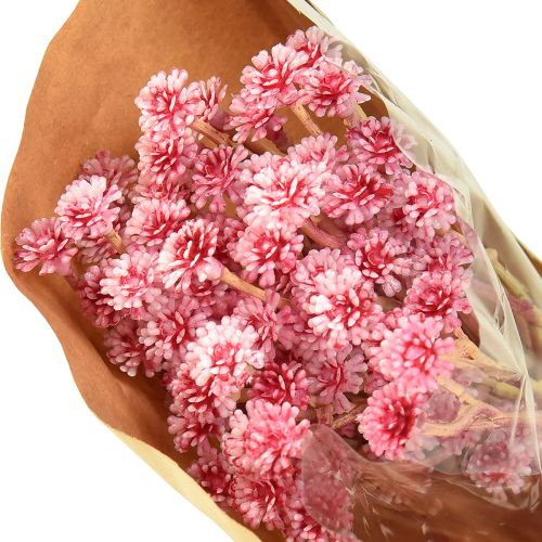 Prodotto Erba di curry Immortelle Rosa artificiale L28 cm 12 pezzi 1 mazzo
