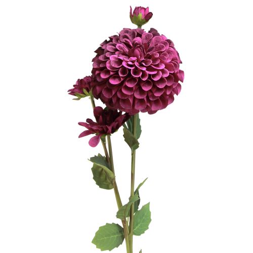 Prodotto Fiori artificiali Dalia con fiori viola Ø10cm L80cm 2 pezzi