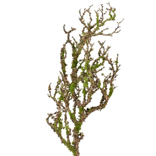 Prodotto Ramo decorativo con muschio artificiale decorazione autunnale grigio verde L78cm