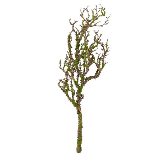 Prodotto Ramo decorativo con muschio artificiale decorazione autunnale grigio verde L78cm