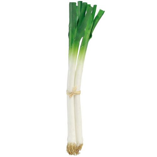 Verdure decorative Cipolline verde bianco Ø1cm L28cm 3 pz