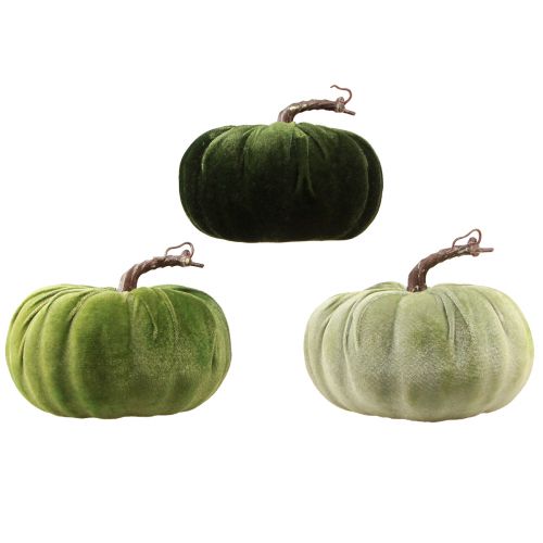 Prodotto Zucca decorativa verde autunnale verde scuro verde chiaro Ø18 cm 3 pz