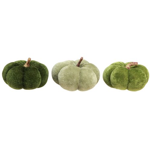 Floristik24 Zucche decorative realizzate in tessuto verde vellutato Ø7cm H4,5cm 9 pezzi