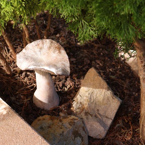 Prodotto Fungo Decorazione autunnale Pietra artificiale Marrone 23cm