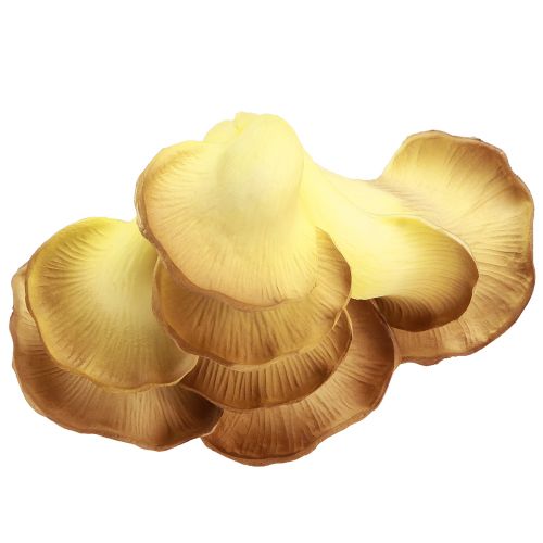 Prodotto Funghi decorativi funghi ostrica artificiali marrone chiaro 19×12×9 cm