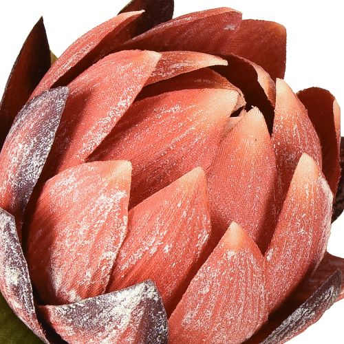 Prodotto Fiori artificiali decorativi di Protea rosso-arancio 34 cm 3 pezzi