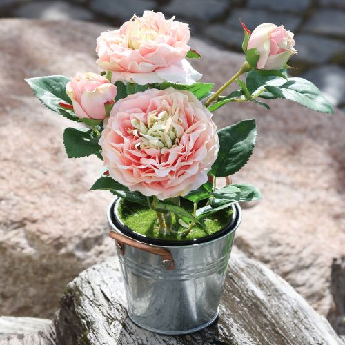 Floristik24 Rosa decorativa in vaso, romantici fiori di seta, peonia rosa