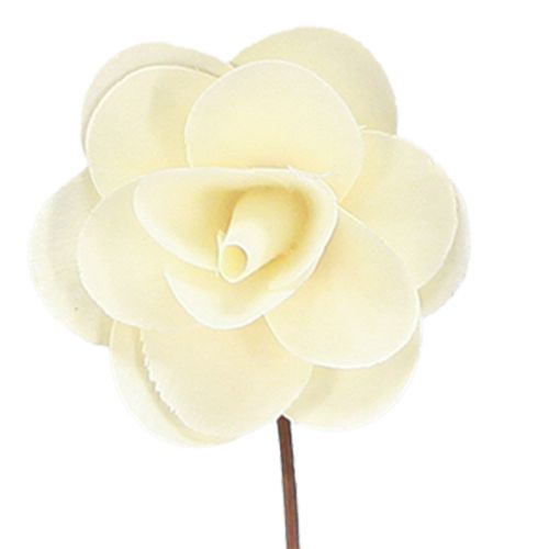Floristik24 Rose decorative rose artificiali color crema in legno Ø7cm 12 pz