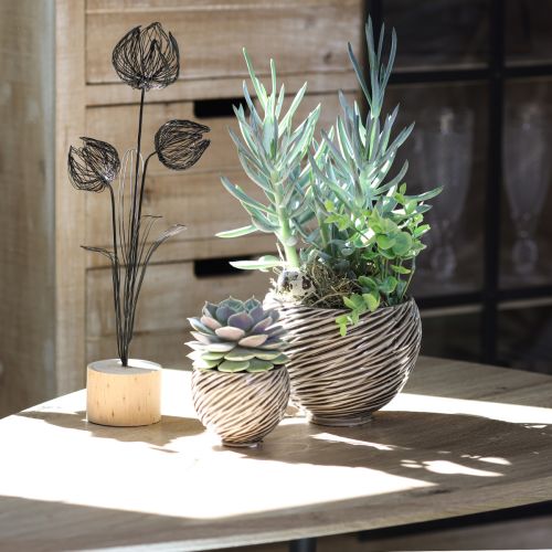 Prodotto Ciotola decorativa vaso di fiori in ceramica beige marrone Ø15cm 2pz
