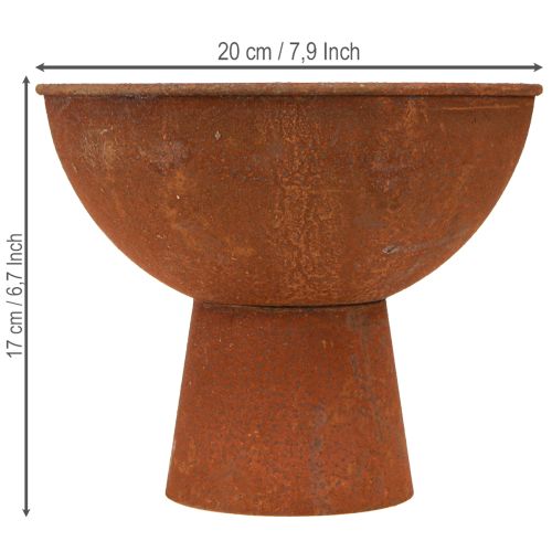 Prodotto Ciotola decorativa con base, calice, metallo color ruggine, Ø20,5 cm, 2 pezzi