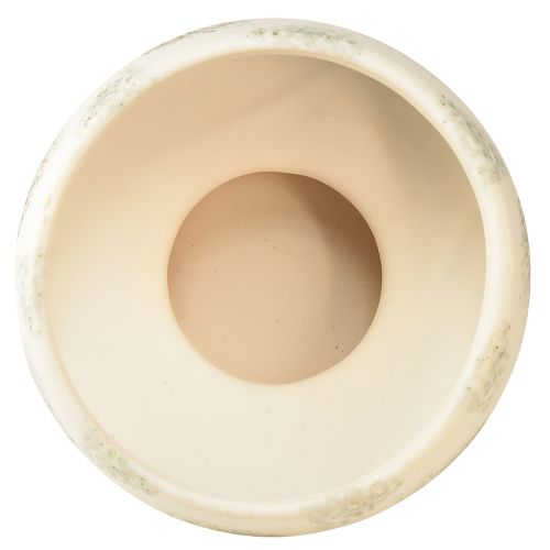 Prodotto Ciotola decorativa in ceramica con base crema grigio verde Ø17cm 10cm