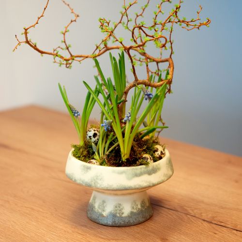 Floristik24 Ciotola decorativa in ceramica con base crema grigio verde Ø17cm 10cm