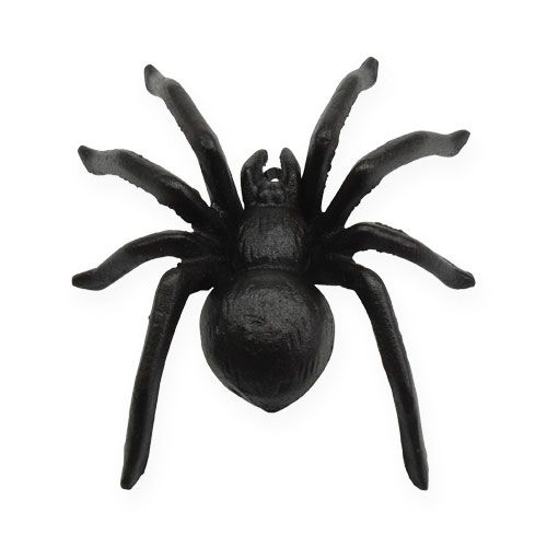 Floristik24 Ragno marrone scuro 13,5 cm