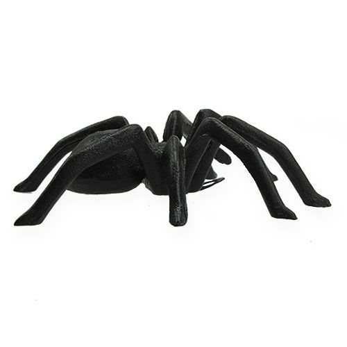 Floristik24 Ragno marrone scuro 13,5 cm
