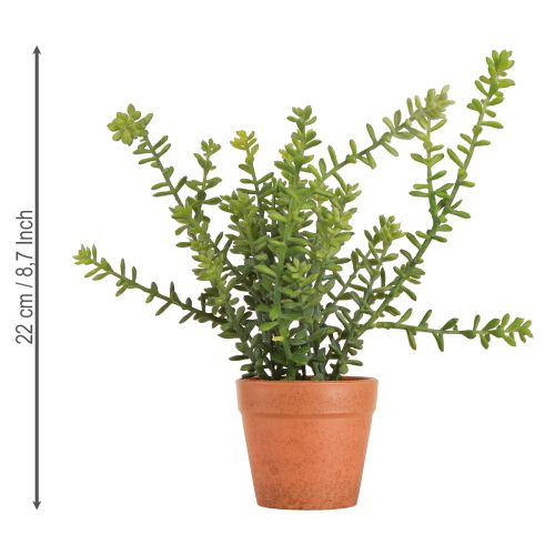 Prodotto Timo decorativo in vaso Erbe artificiali Decorazione da cucina 25 cm