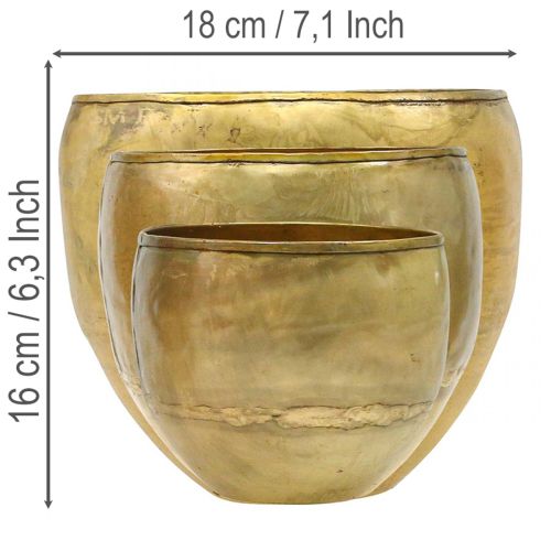 Set di 3 vasi decorativi in metallo effetto ottone, Ø18/15/12,5 cm. | Floristik24.it