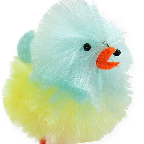 Floristik24 Pulcini ciniglia gialli, blu 5cm 4pz