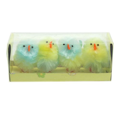 Floristik24 Pulcini ciniglia gialli, blu 5cm 4pz