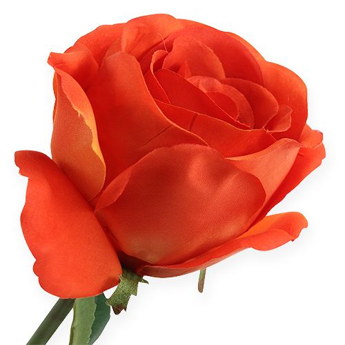 Prodotto Deco-rose arancione 32cm 6 pezzi