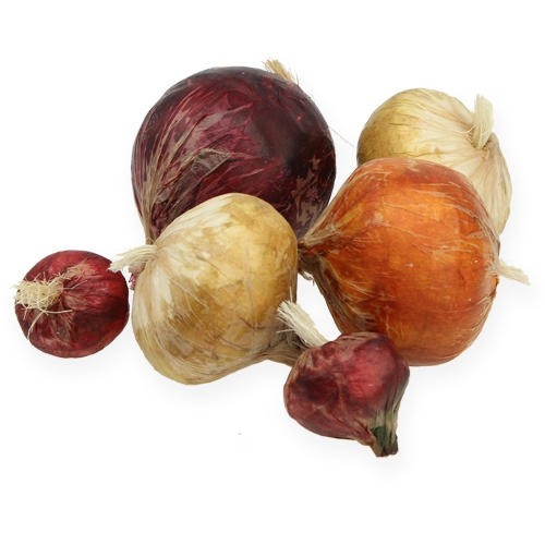 Floristik24 Cipolla grande e piccola artificialmente 14St.