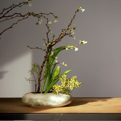 Floristik24 Ciotola decorativa ciotola ovale piatta in ceramica crema grigio verde 19×14×5 cm