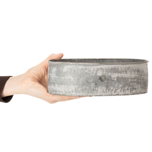 Prodotto Ciotola decorativa in metallo, ovale, grigia, L22.5/19.5/16cm, set da 3