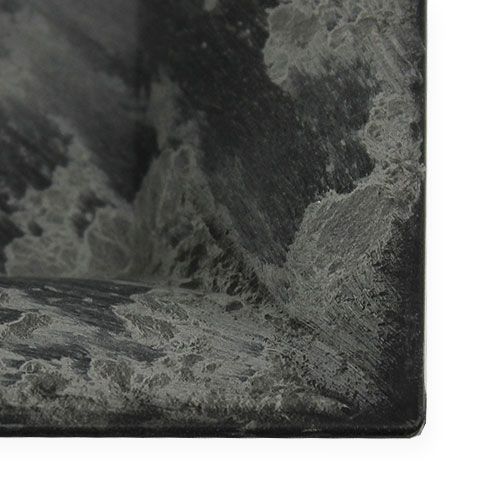 Floristik24 Piatto in plastica 20 cm x 20 cm quadrato antracite 6 pezzi