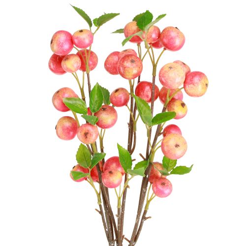 Prodotto Rami decorativi ornamentali mela giallo/rosso autunno inverno L58cm 3 pz