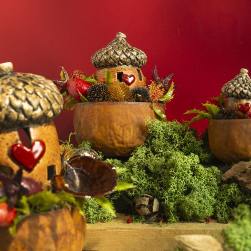 Prodotto Ghianda con decorazione a finestra e cuore 9,8 cm - suggestiva decorazione autunnale e invernale - 4 pezzi