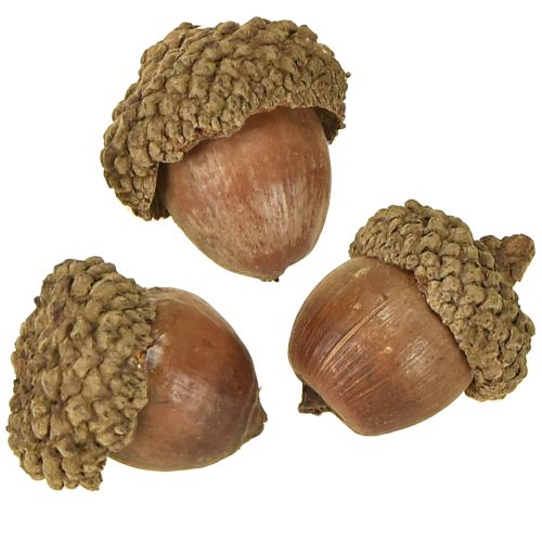 Prodotto Ghiande per decorazione, decorazione autunnale, frutti autunnali naturali Ø1,5 – 2,5 cm L1,5 – 3 cm 300 g