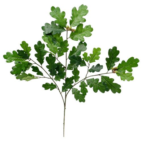 Ramo di quercia verde 68 cm