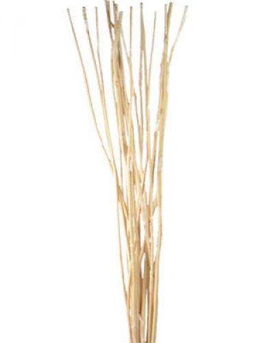 Bastoncini decorativi, canna di elefante sbiancata 20 pz