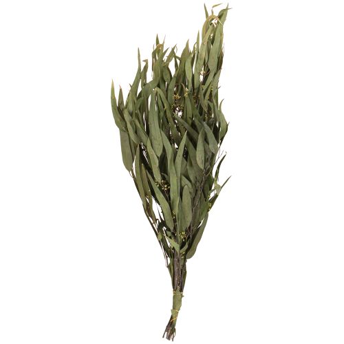 Prodotto Rami di eucalipto conservati Foglie verdi ovali 150g