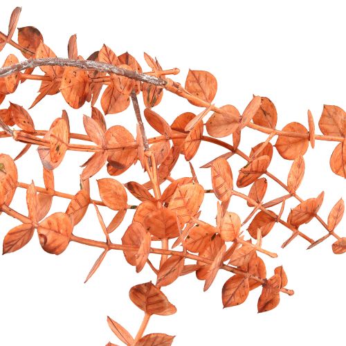 Prodotto Appendiabiti in eucalipto artificiale eucalipto autunnale arancione 150 cm