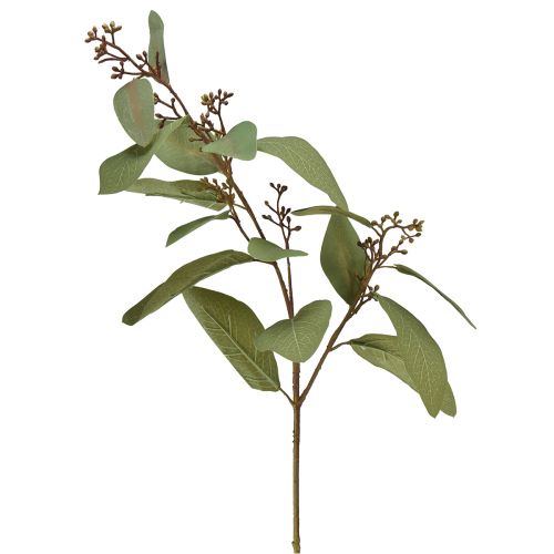Floristik24 Ramo di eucalipto ramo decorativo artificiale ramo artificiale verde 60 cm