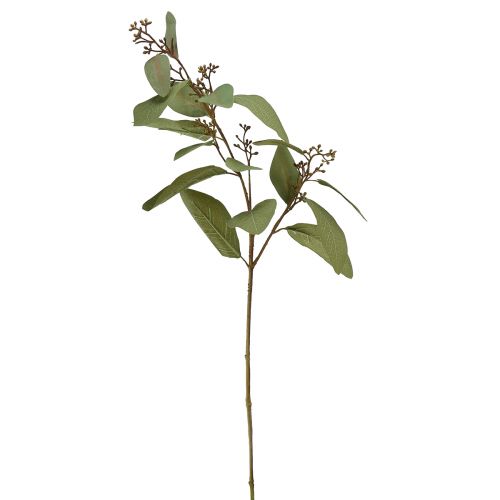 Prodotto Ramo di eucalipto ramo decorativo artificiale ramo artificiale verde 60 cm