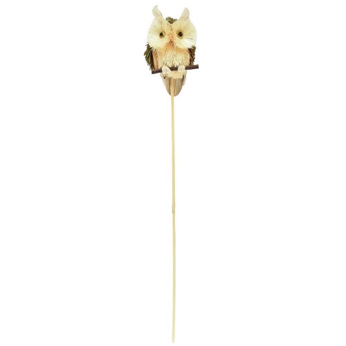 Prodotto Spine decorative per fiori gufo decorazione autunnale naturale Ø4cm H8cm 4 pezzi