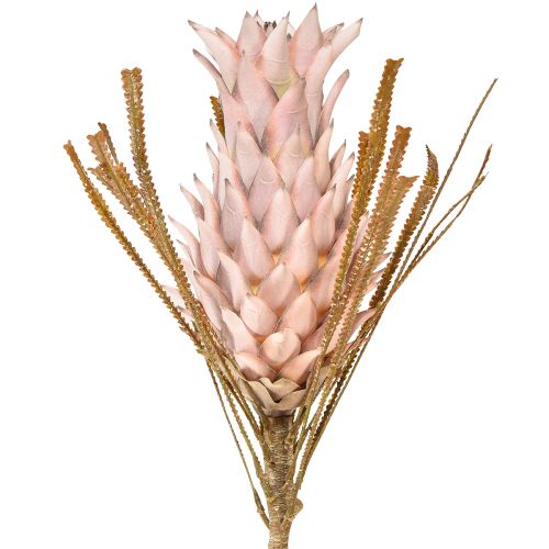 Floristik24 Fiore artificiale esotico rosa grande fiore di ananas 74 cm