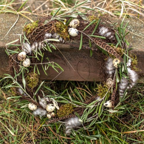 Floristik24 Decorazione Piume Di Fagiano Piume Vere Naturali 40cm 9 pz