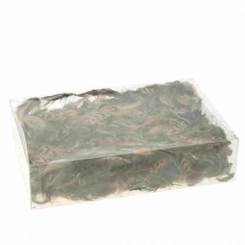 Floristik24 Piume naturali 4,5 - 9cm 20g