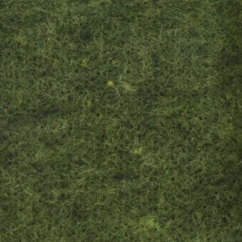 Floristik24 Nastro di feltro nastro di lana feltro artigianale rotolo di feltro verde scuro 15 cm 5 m