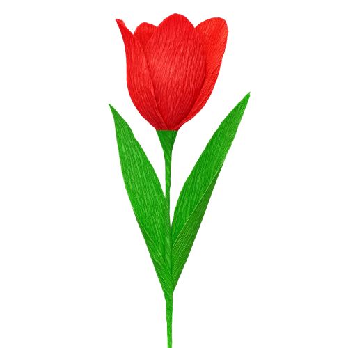 Prodotto Carta crespa per fioristi, carta crespa per fioristi, rossa, 50×250cm, 5 pezzi