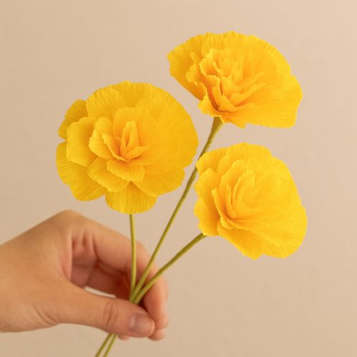 Prodotto Carta crespa per fioristi giallo sole 50x250cm