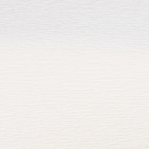 Prodotto Carta crespa per fioristi bianca 50x250cm