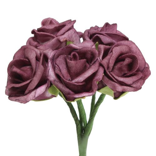 Floristik24 Schiuma Rose Bordeaux Ø3,5cm 30 pezzi
