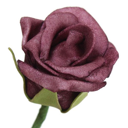 Floristik24 Schiuma Rose Bordeaux Ø3,5cm 30 pezzi