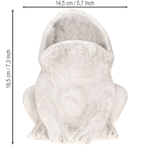 Prodotto Vaso decorativo per piante a forma di rana, in cemento grigio, altezza 18,5 cm