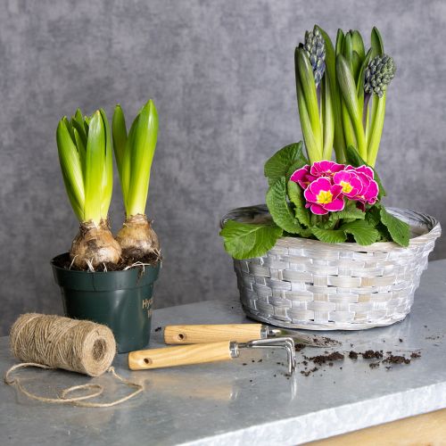 Prodotto Cestino intrecciato come elegante decorazione floreale nella zona giorno. Cestino pasquale, 23 cm, 6 pezzi.