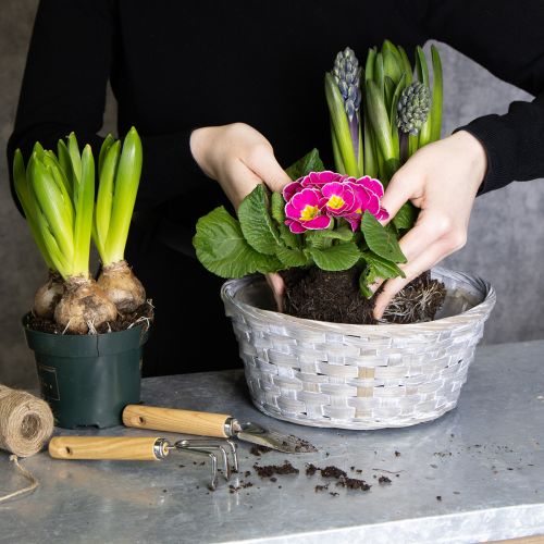 Prodotto Cestino intrecciato come elegante decorazione floreale nella zona giorno. Cestino pasquale, 23 cm, 6 pezzi.