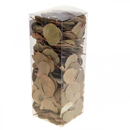 Prodotto Decorazione foglie secche Moneta floristica secca natura 200g